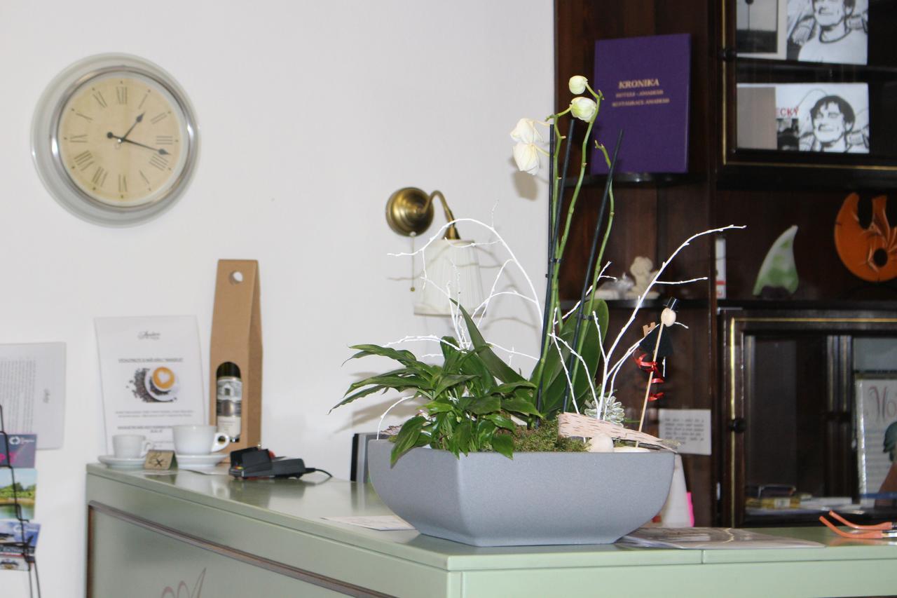 Hotel Amadeus Τσέσκε Μπουντεγιόβιτσε Εξωτερικό φωτογραφία